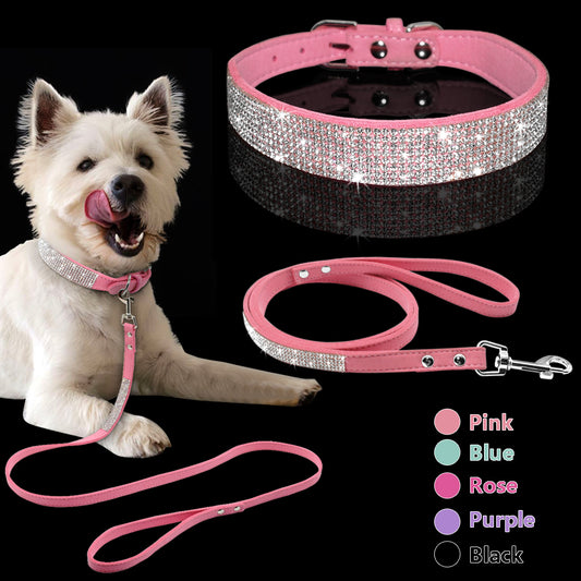 Dog collar Leash Set