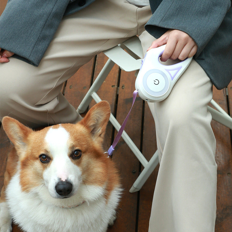 Led Lights Dog Leash - SuperMEADE | AMAZING gifts and products!!