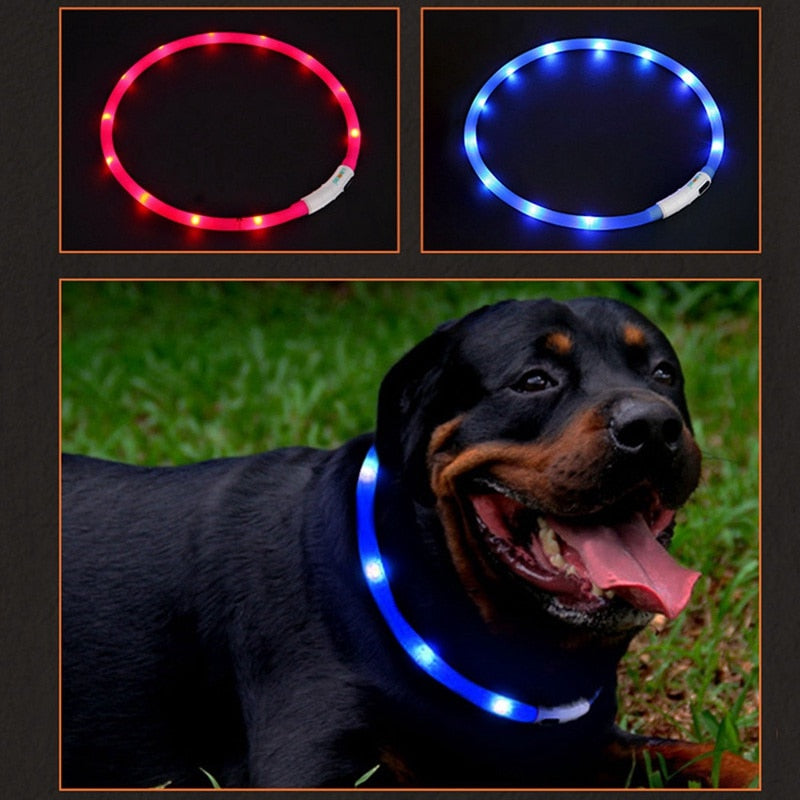 Luminous Pet Collar - SuperMEADE | AMAZING gifts and products!!